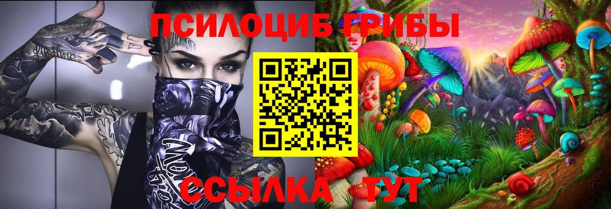 Псилоцибиновые грибы Psilocybine cubensis Сланцы