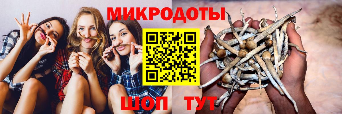 Псилоцибиновые грибы Psilocybine cubensis  Вход с VPN  Сланцы  Псилоцибиновые грибы мухоморы 